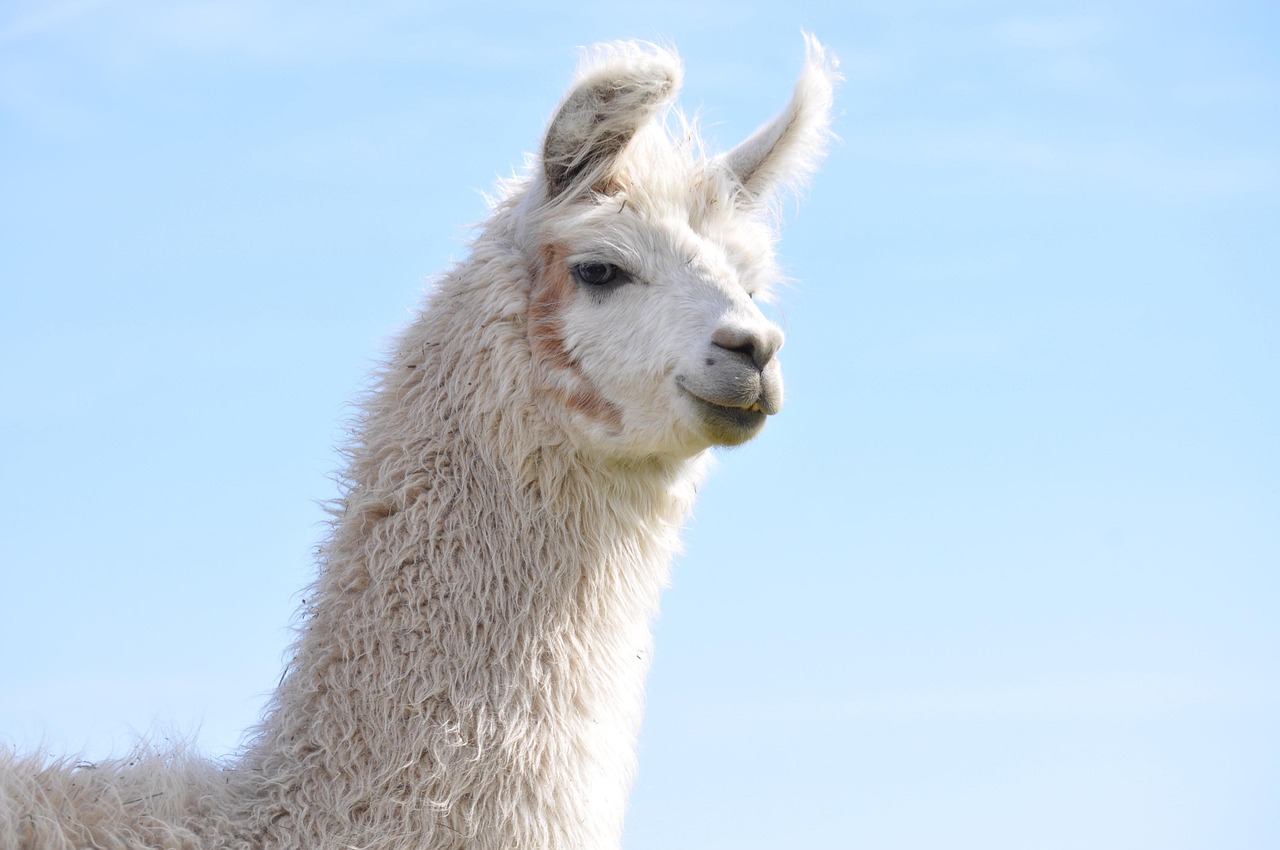 网站代实名实名账号：实名注册：解决网络社交账号虚假问题