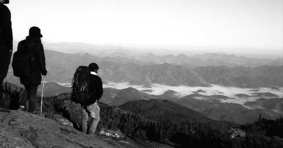 如何通过Google+来提高SEO排名