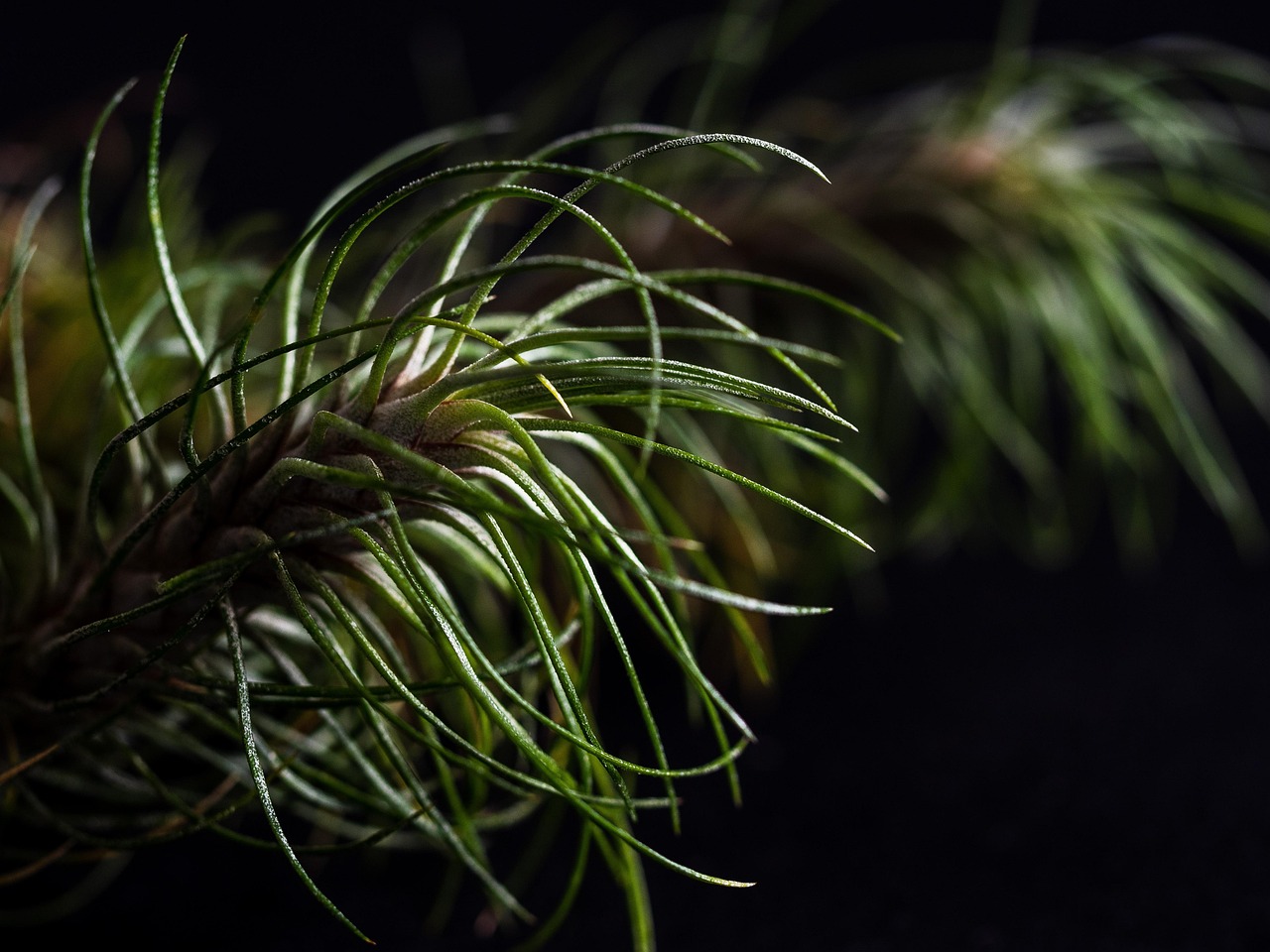 霸王雄心:购买平台币骗局