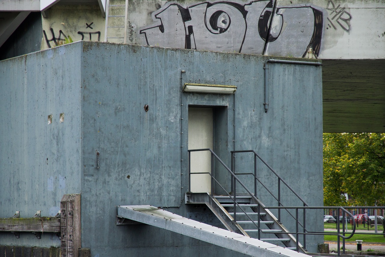 秋葵app如何详情下载教程