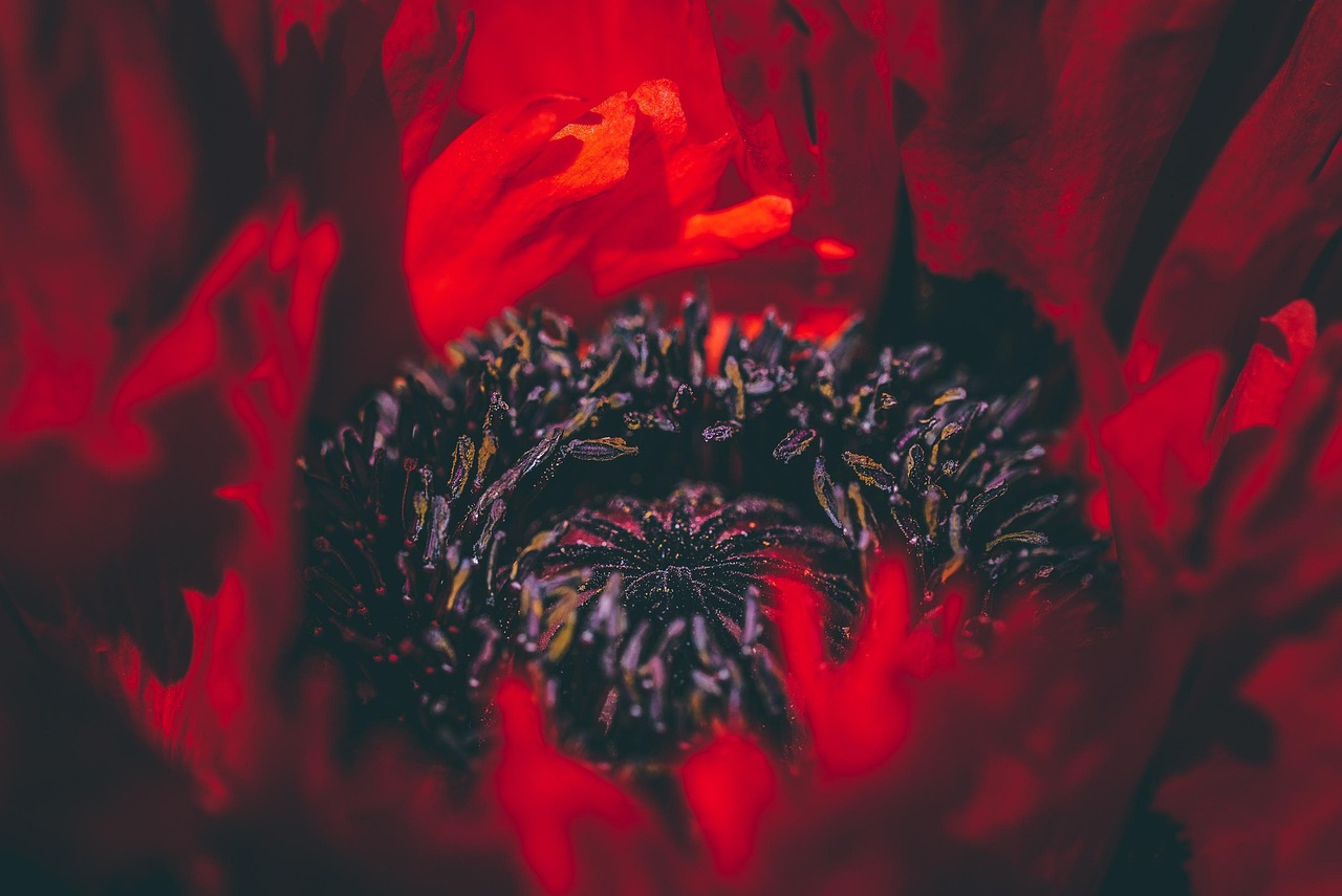 易趣实名账号：vv手游代理平台