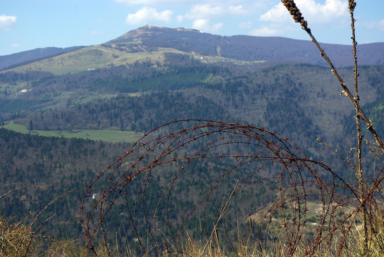 eSIM卡实名账号：济南公司代理注册
