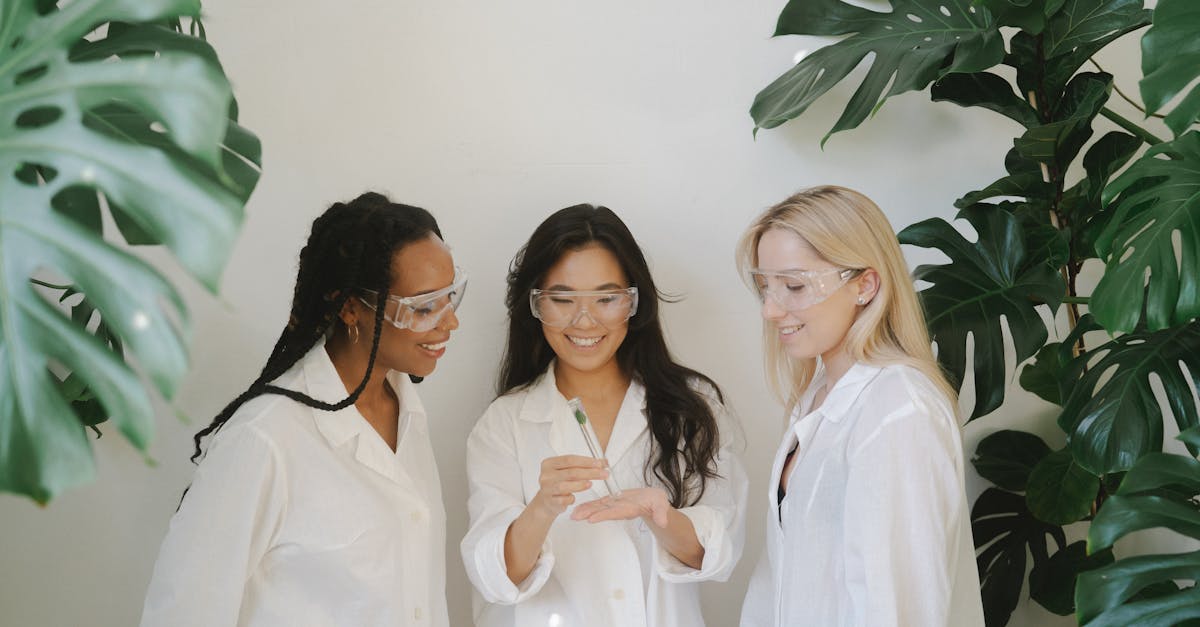 光辉2海外注册公司代理查询官网