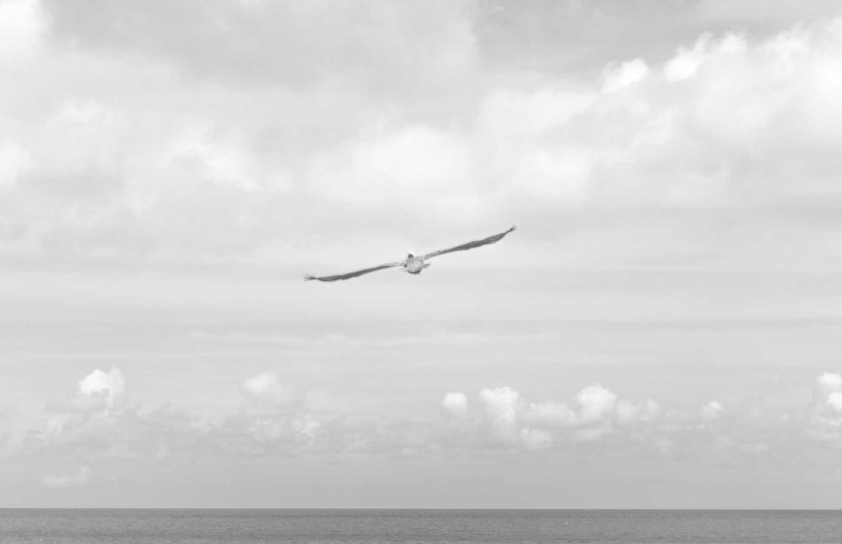 香烟中的化学成分及其影响