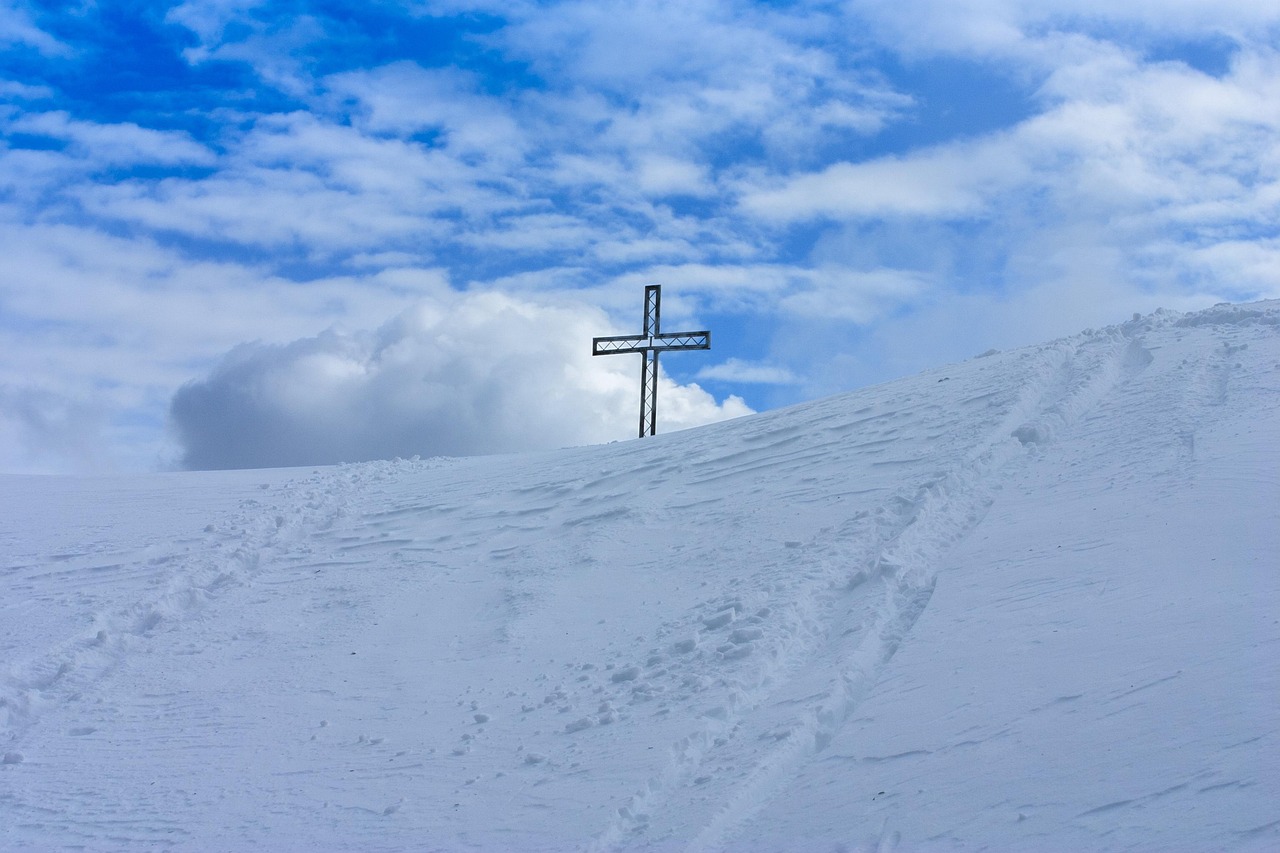 蝙蝠实名账号：流量卡推荐：究竟哪一家最适合您？