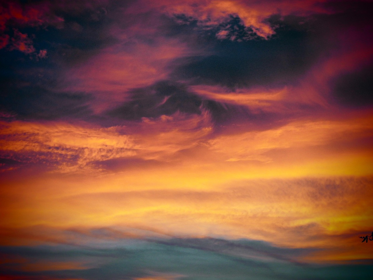 杏鑫趣闻赚APP详情下载教程