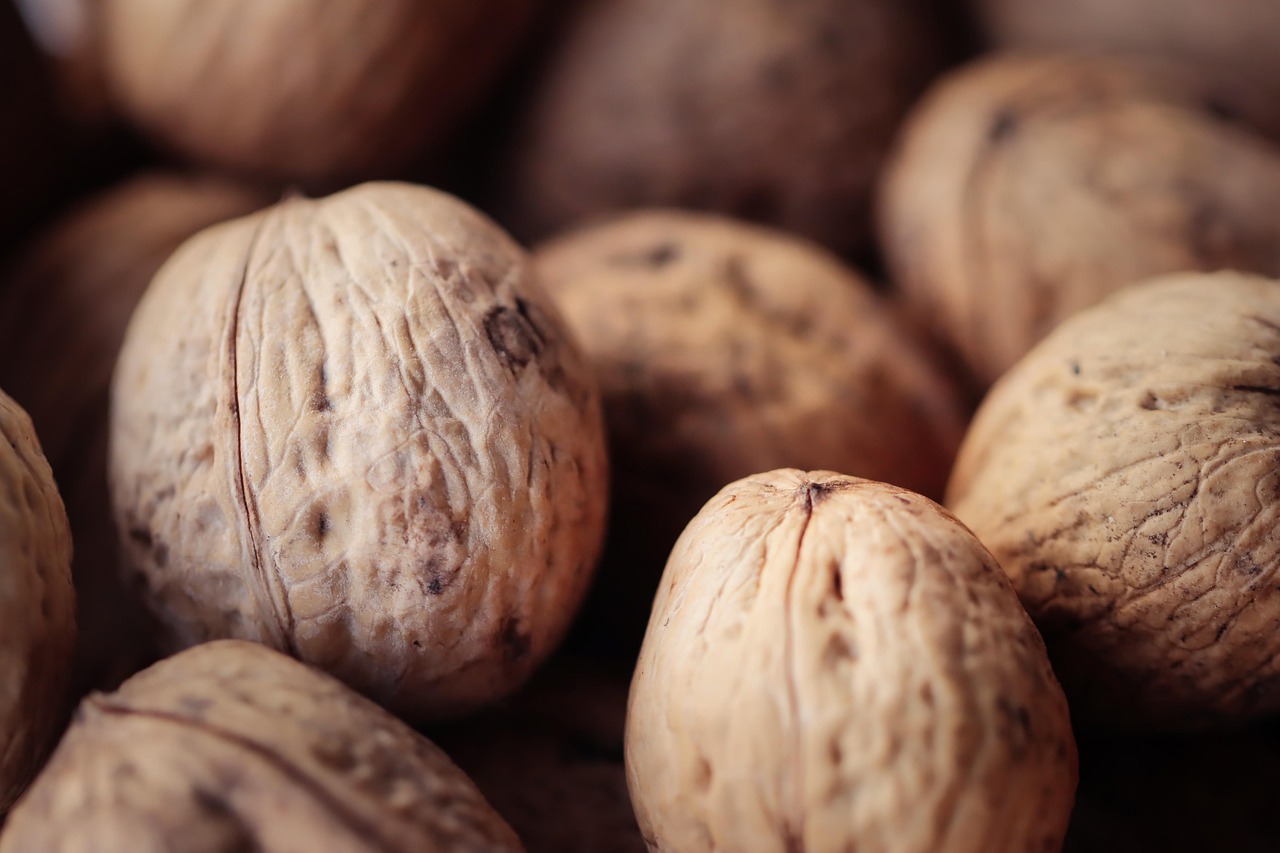 解读DDOS黑客攻击工具- 长春 注册公司代理