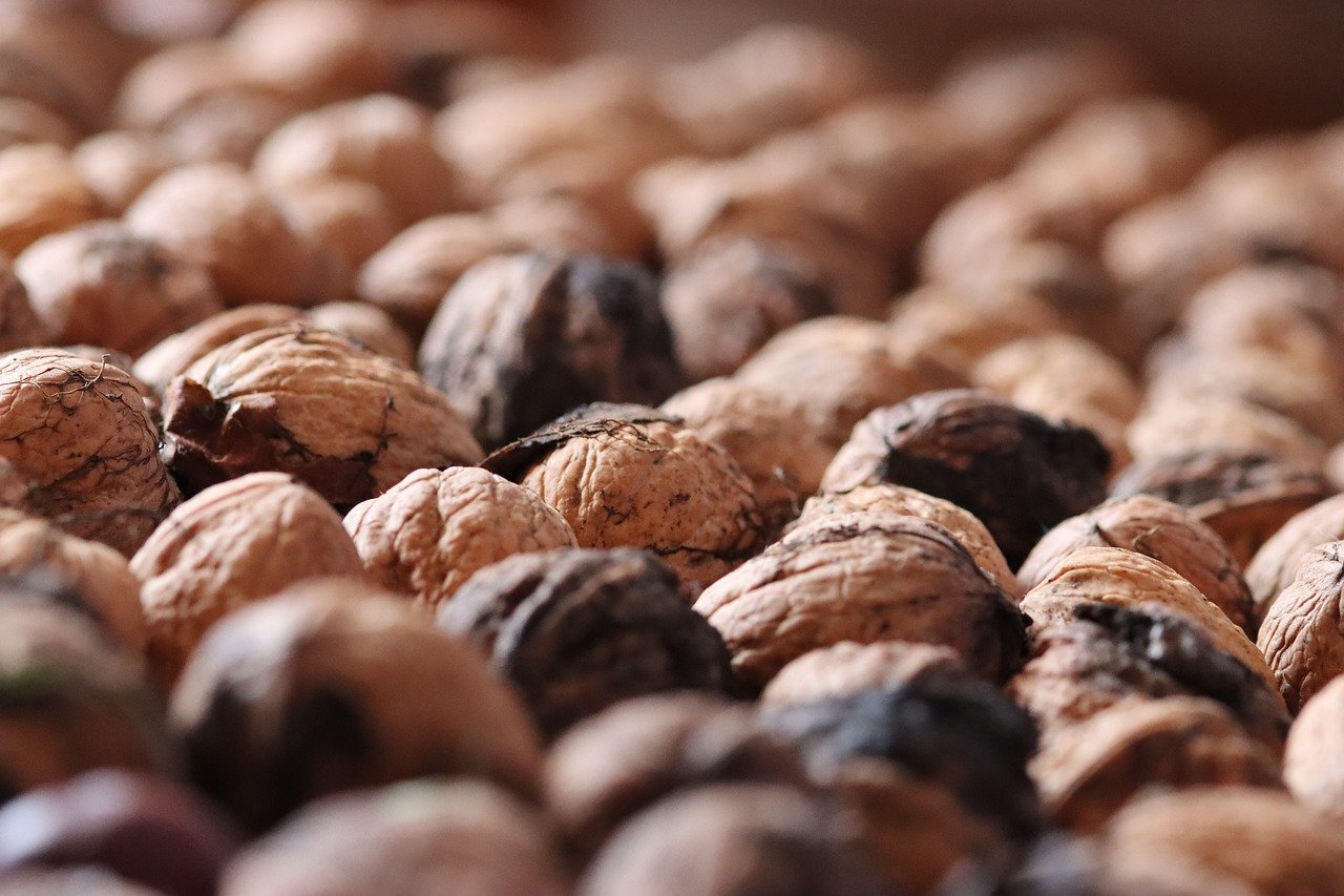 技术支持玩家在这个游戏里猖狂，这些开挂的她却能打败他们